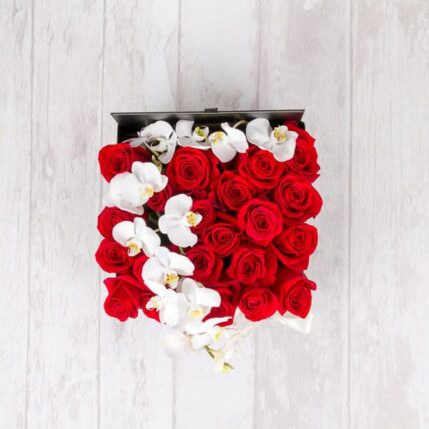 It's time to love-cutie trandafiri orhidee 2